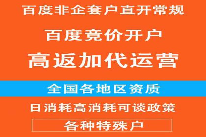 成功SEM投放案例分享